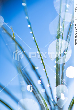 Water droplets Water droplets 132829832