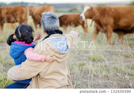 Grandmother, girl back and cows on a walk with kid and senior woman in the countryside. Outdoor field, grass and elderly female with child on a family farm on vacation with happiness and fun Grandmother, girl back and cows on a walk with kid and senior woman in the countryside. Outdoor field, grass and elderly female with child on a family farm on vacation with happiness and fun 132830390