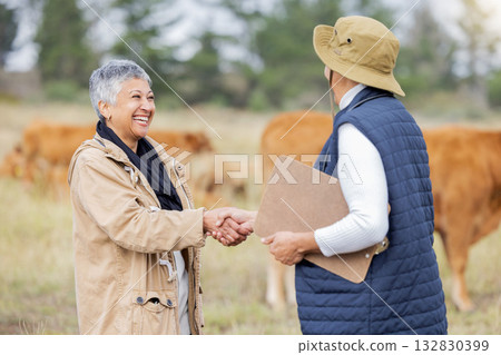 Farm, handshake and teamwork with a woman in agriculture saying thank you to a colleague for sustainability. Farming, shaking hands and collaboration with a cattle farmer women in partnership 132830399