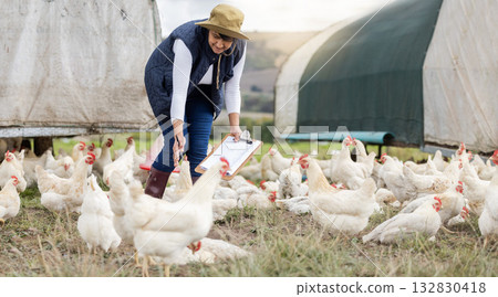Agriculture, chicken farming and woman with clipboard on free range farm, environment and field. Sustainability, animal care and farmer check poultry birds in countryside, nature or sustainable trade 132830418