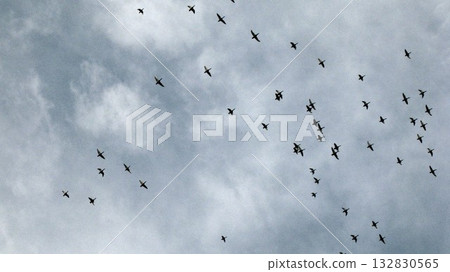 一群野鴨在空中飛翔 132830565