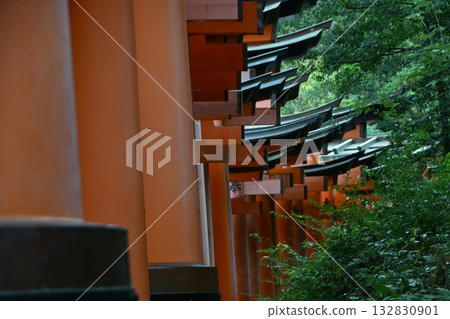 伏見稻荷大社千鳥居(京都府) 伏見稻荷大社千鳥居(京都府) 132830901