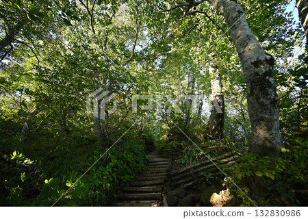 Climbing Mt. Daisen, Tottori Prefecture Climbing Mt. Daisen, Tottori Prefecture 132830986
