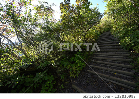 Climbing Mt. Daisen, Tottori Prefecture 132830992