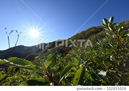 Climbing Mt. Daisen, Tottori Prefecture 132831029