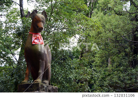 Inari Shrine at Fushimi Inari Taisha Shrine (Kyoto Prefecture) 132831106