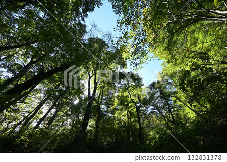 攀登鳥取縣大山 132831378