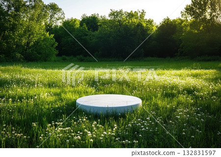 Lush Green Meadow with Wildflowers Under Soft Sunlight in Springtime Beauty Lush Green Meadow with Wildflowers Under Soft Sunlight in Springtime Beauty 132831597