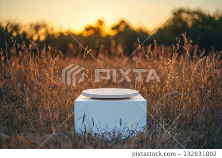 Tranquil Meadow at Dusk Bathed in Golden Light with a Minimalist White Object 132831802