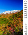 Mt. Daisen and the beautiful autumn forest 132831859