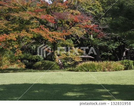 秋分時節六義園的景色 秋分時節六義園的景色 132831958