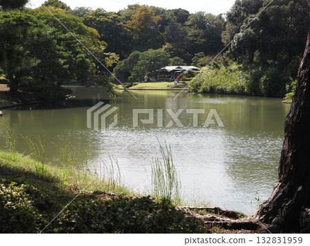 Scenery of Rikugien Garden on the autumnal equinox 132831959