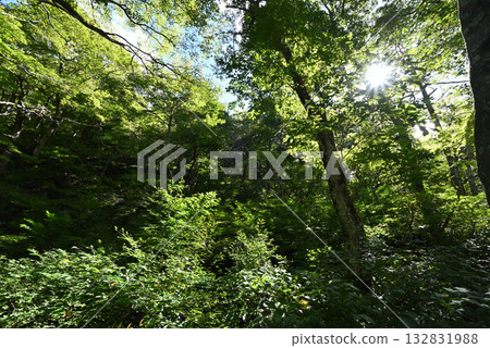 Climbing Mt. Daisen, Tottori Prefecture Climbing Mt. Daisen, Tottori Prefecture 132831988