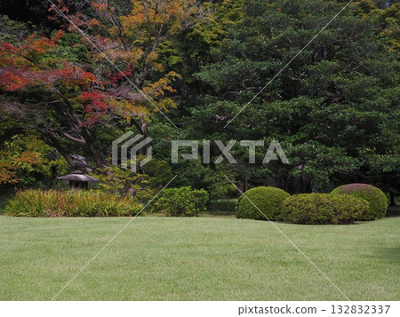秋分時節六義園的景色 132832337