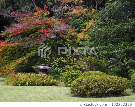 秋分時節六義園的景色 132832339