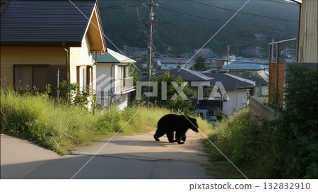 一隻黑熊出現在人類居住區。 一隻黑熊出現在人類居住區。 132832910