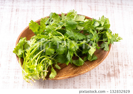 Coriander  132832929