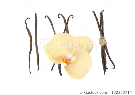 Yellow orchid and vanilla on white, isolated on white, PNG Yellow orchid and vanilla on white, isolated on white, PNG 132833714