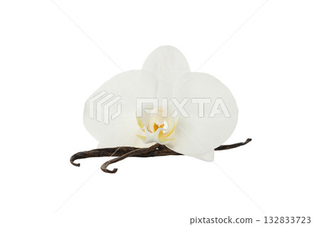 White vanilla flower with aromatic pods, isolated on white, PNG 132833723