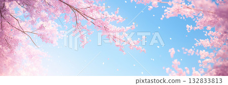 Cherry blossom branch, anime style, copy space 132833813