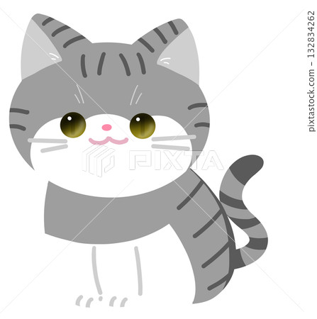 一隻坐著的虎斑貓 132834262