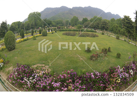 Nishat  garden Bagh is a popular tourist attraction, Nishat Bagh is a 12-tiered terraced garden located near the famous Dal Lake in Srinagar. It is the second largest Mughal garden in Kashmir. 132834509