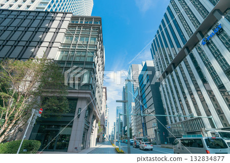 城市景觀：東京的發展中城市及其建築 132834877