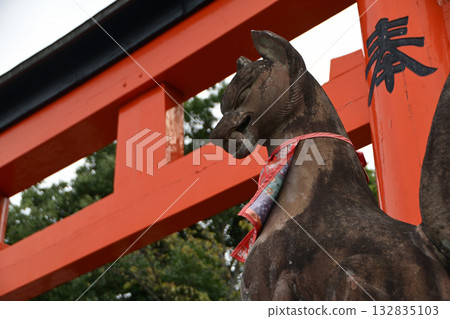 Fushimi Inari Taisha Shrine Inari Shrine and Torii Gate (Kyoto Prefecture) 132835103