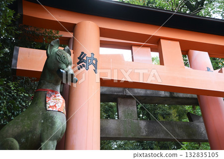 Fushimi Inari Taisha Shrine Inari Shrine and Torii Gate (Kyoto Prefecture) Fushimi Inari Taisha Shrine Inari Shrine and Torii Gate (Kyoto Prefecture) 132835105