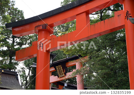 Fushimi Inari Taisha Shrine (Kyoto City, Kyoto Prefecture) 132835199