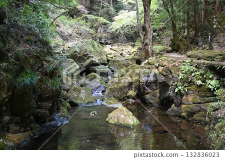 名張市龍月坪赤目48瀑布 名張市龍月坪赤目48瀑布 132836023