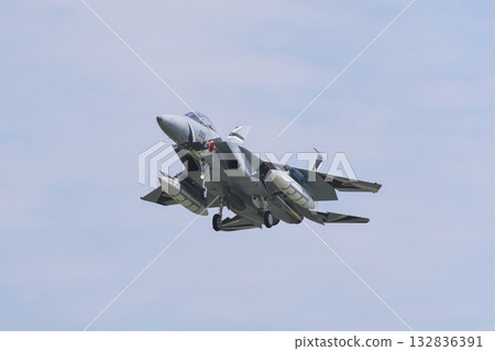 Flight training group preparing to land, F-15DJ of the aggressor unit 132836391