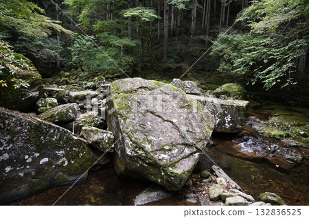 Akame 48 Waterfalls, Hyakutatami Rock, Nabari City 132836525