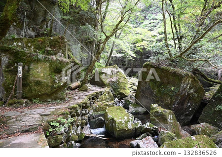 Akame 48 Waterfalls, Hyakutatami Rock, Nabari City 132836526