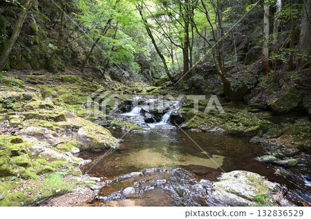 赤目48瀑布，姊妹瀑布，名隱市 132836529