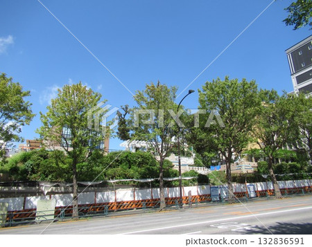 Hongo 1-chome, Sotobori-dori 132836591