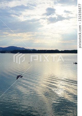 Morning light shines through the lake and birds fly by. A landscape that exudes tranquility and hope. Morning light shines through the lake and birds fly by. A landscape that exudes tranquility and hope. 132836877