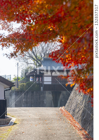 法雲寺周圍的秋葉（京都府京都市北區西鴨鎮住町） 132837317