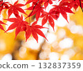 一張特寫照片，展現了鮮豔的紅色楓葉在黃色散景背景下的景象。 132837359
