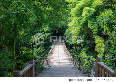 Explore the serene wooden bridge surrounded by lush greenery 132837579