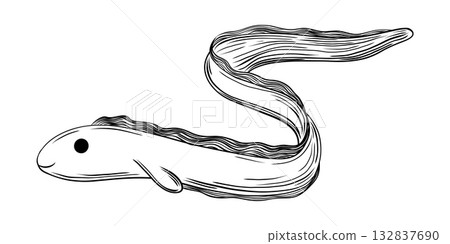 Cute Eel Fish Hand Drawn Engraving Sketch 132837690