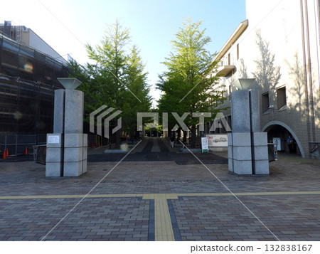 Metropolitan university 132838167