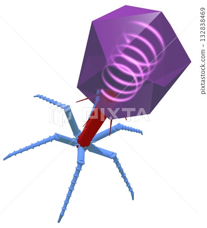 Bacteriophage 132838469