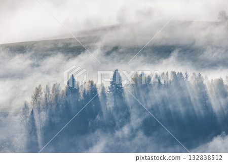 Misty forest scene with sunlight streaming through the trees. Atmospheric serene and evocative. A peaceful nature landscape. 132838512