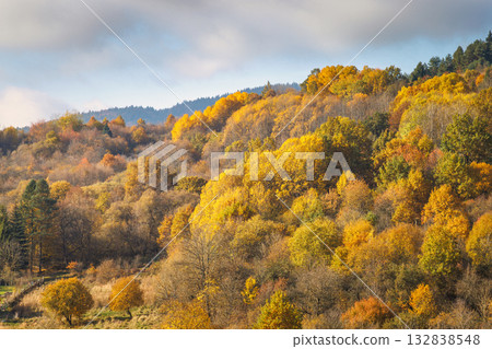 Autumn's golden embrace, a hillside ablaze with vibrant hues. Trees displaying a full spectrum of warm colors under a cloudy sky. Autumn's golden embrace, a hillside ablaze with vibrant hues. Trees displaying a full spectrum of warm colors under a cloudy sky. 132838548