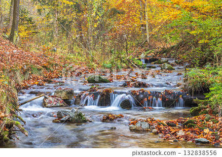 Autumn Stream, fallen leaves drift on the current in a woodland stream, surrounded by golden autumn foliage. Autumn Stream, fallen leaves drift on the current in a woodland stream, surrounded by golden autumn foliage. 132838556