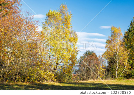 Autumn trees with colorful foliage stand against a bright blue sky with wispy clouds on a grassy meadow Moravia region of Czech Republic, Europe. Autumn trees with colorful foliage stand against a bright blue sky with wispy clouds on a grassy meadow Moravia region of Czech Republic, Europe. 132838580