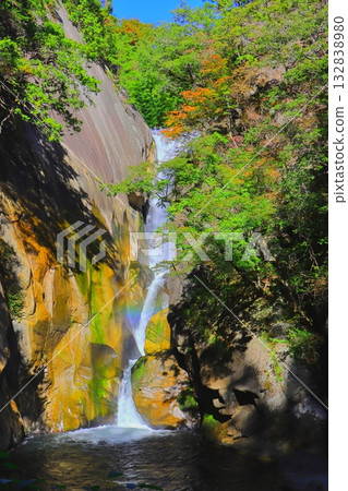 Senga Falls in autumn (Shosenkyo, Kofu City, vertical composition) 132838980