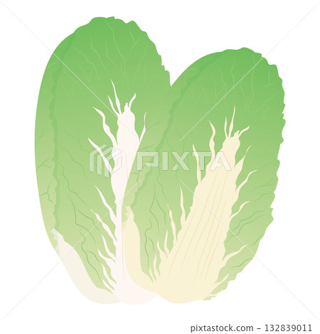 大白菜向量圖標，葉菜類蔬菜插圖素材 132839011