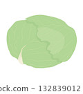 Cabbage icon Leafy vegetable illustration material 132839012